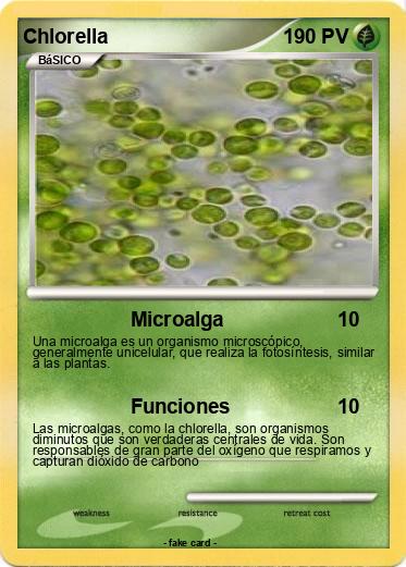 Pokemon Chlorella