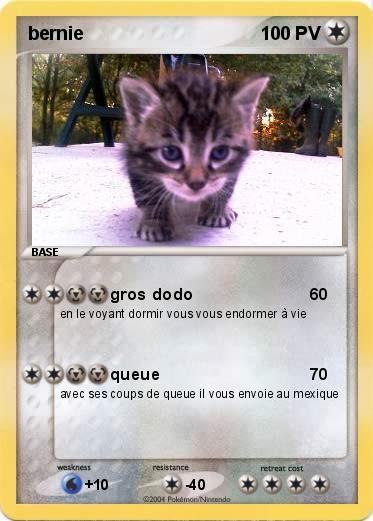 Pokemon bernie