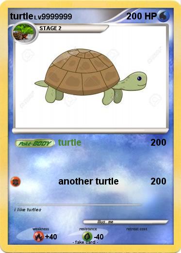Pokemon turtle