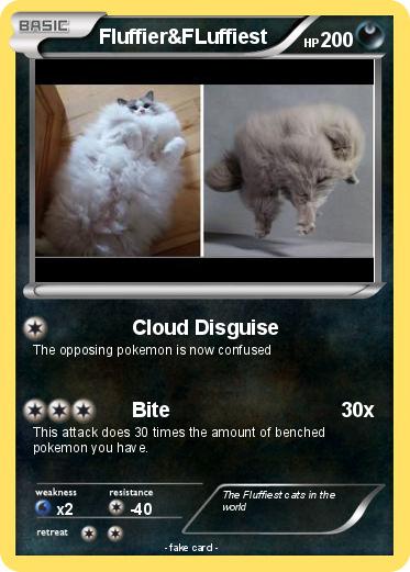 Pokemon Fluffier&FLuffiest