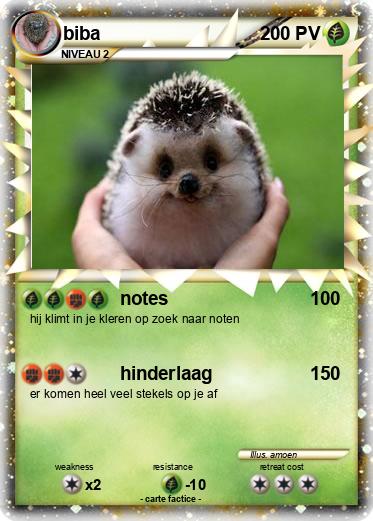 Pokemon biba