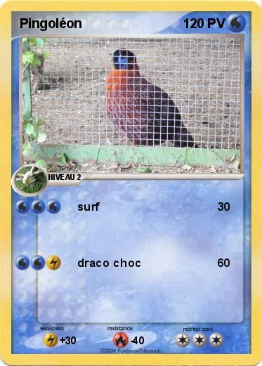 Pokemon Pingoléon