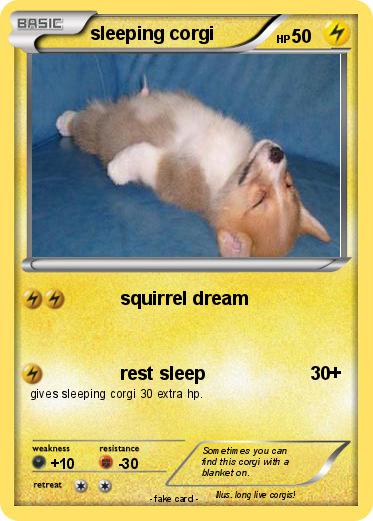 Pokemon sleeping corgi