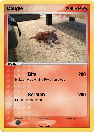 Pokemon Dougie
