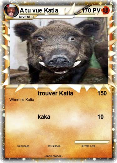Pokemon A tu vue Katia