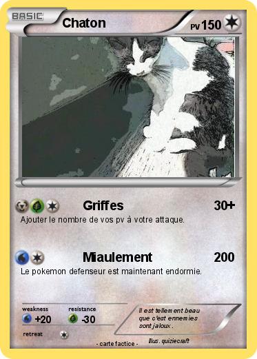Pokemon Chaton