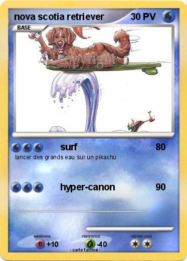 Pokemon nova scotia retriever