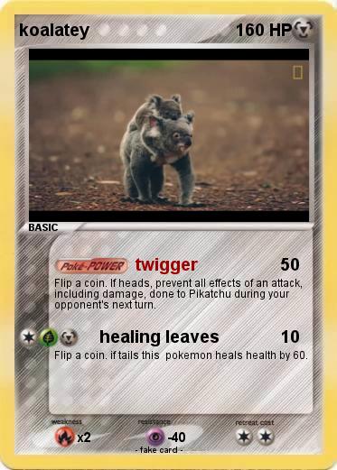 Pokemon koalatey