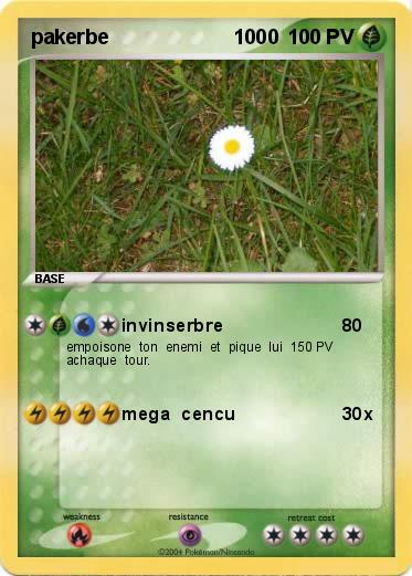 Pokemon pakerbe                      1000  