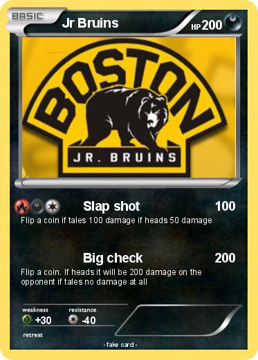 Pokemon Jr Bruins