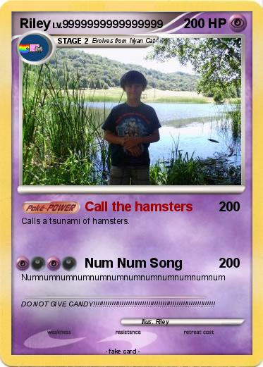 Pokemon Riley