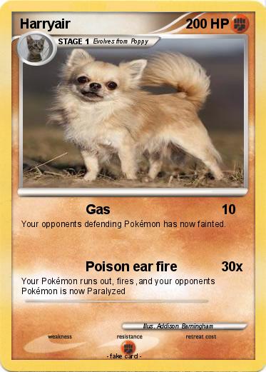 Pokemon Harryair