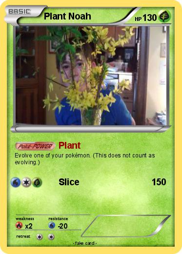 Pokemon Plant Noah