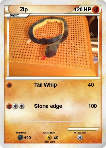Pokemon Zip