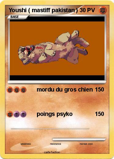 Pokemon Youshi ( mastiff pakistan )