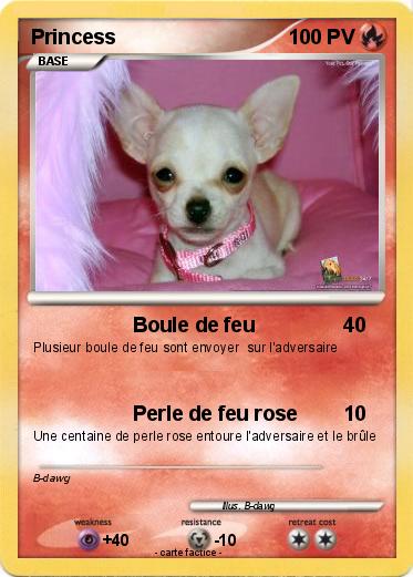 Pokemon Princess