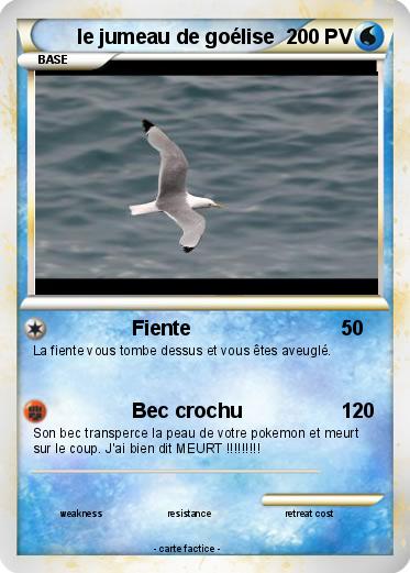 Pokemon le jumeau de goélise