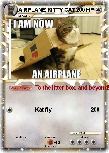 Pokemon AIRPLANE KITTY CAT