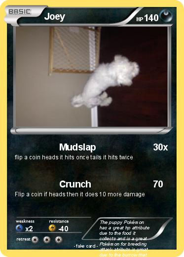 Pokemon Joey