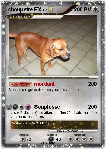 Pokemon choupette EX