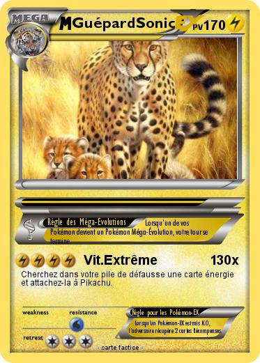 Pokemon GuépardSonic