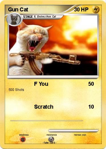 Pokemon Gun Cat