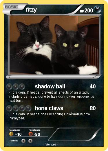 Pokemon fitzy