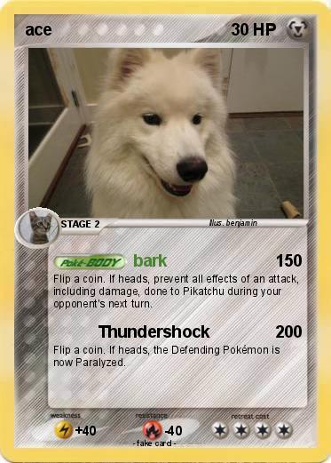 Pokemon ace