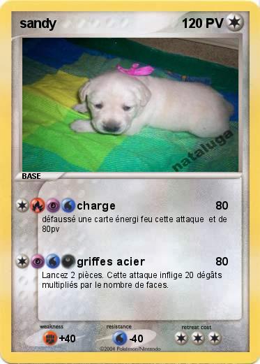 Pokemon sandy