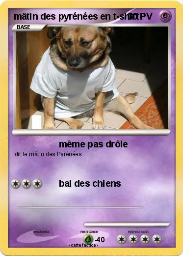 Pokemon mâtin des pyrénées en t-shirt