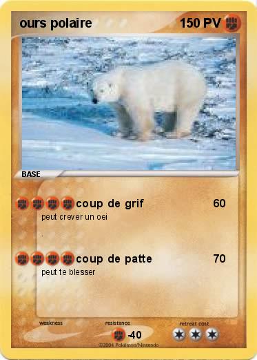 Pokemon ours polaire