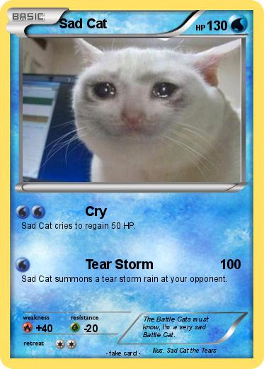 Pokemon Sad Cat
