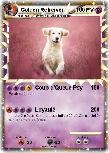 Pokemon Golden Retreiver