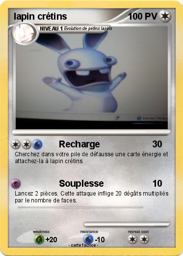 Pokemon lapin crétins
