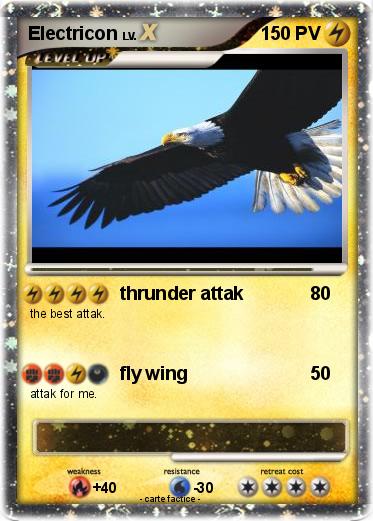 Pokemon Electricon