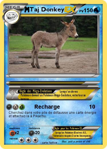 Pokemon Taj Donkey