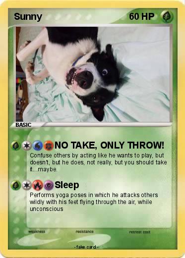 Pokemon Sunny