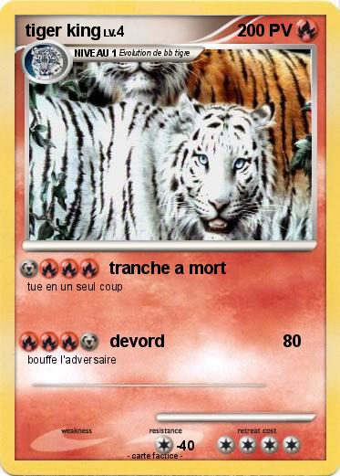 Pokemon tiger king