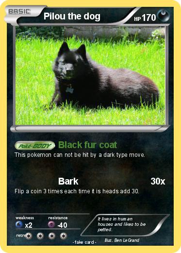 Pokemon Pilou the dog