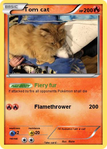 Pokemon Tom cat