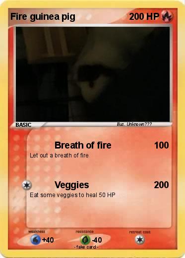 Pokemon Fire guinea pig
