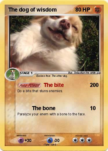Pokemon The dog of wisdom