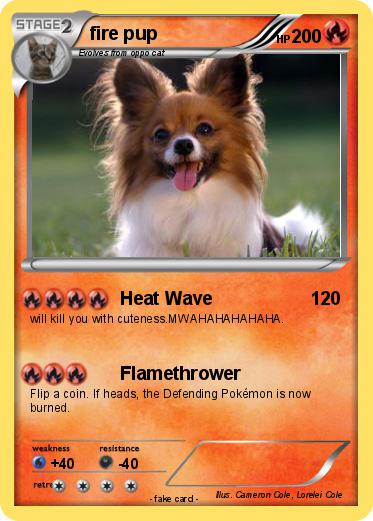 Pokemon fire pup