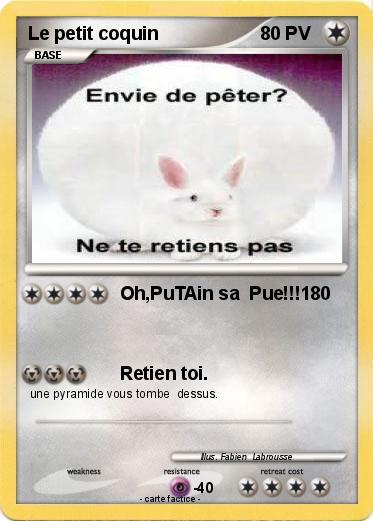 Pokemon Le petit coquin
