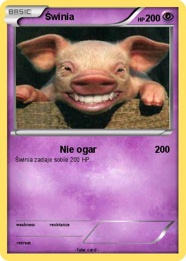 Pokemon Świnia