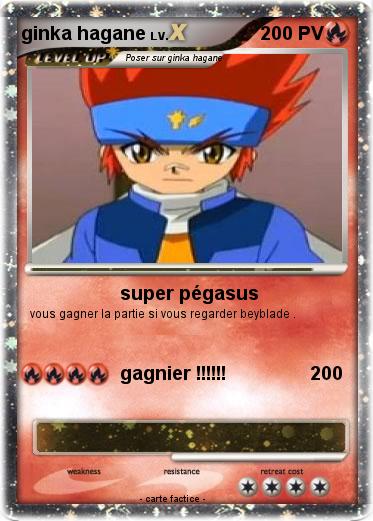 Pokemon ginka hagane