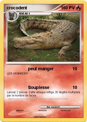 Pokemon crocodent