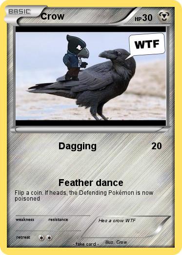 Pokemon Crow