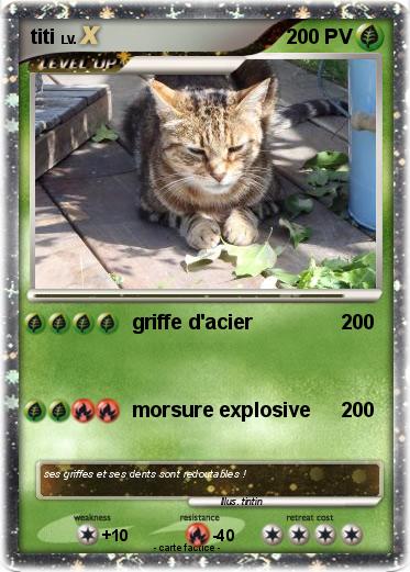 Pokemon titi