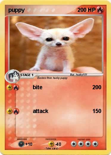 Pokemon puppy